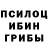 Псилоцибиновые грибы GOLDEN TEACHER Humanity ._